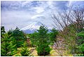 Mt Fuji (30578747).jpeg