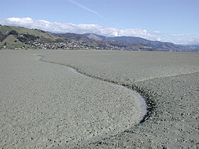 Водные каналы на илистых отмелях Нельсон-Хейвен во время отлива, Нельсон виден вдали.