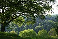 Vorschaubild der Version vom 15:49, 27. Mai 2019