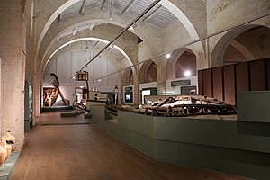 Musée des bateaux antiques de Pise