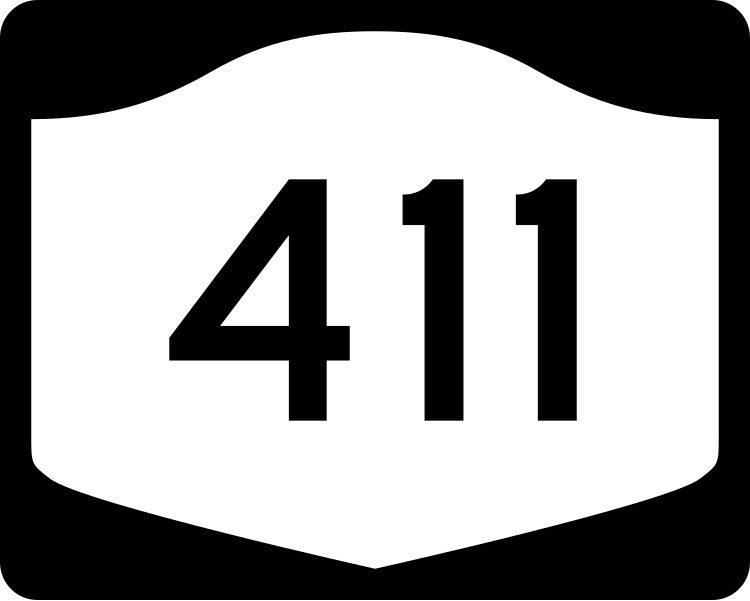 File:NY-411.svg