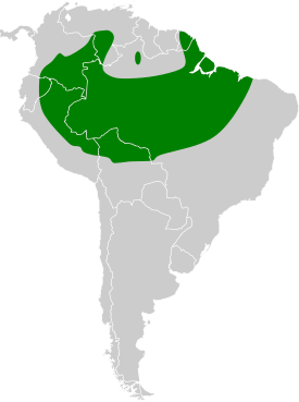 Distribución geográfica del trepatroncos piquilargo.