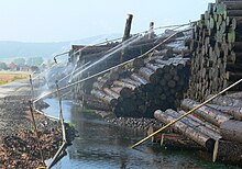 Nasslager bei Mehlen mit bis zu 100.000 Festmeter Holz vom Orkan Kyrill 2007