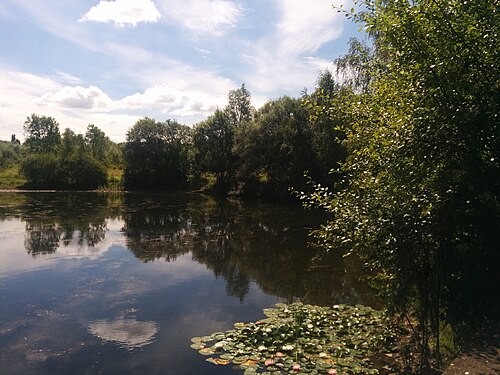 Naturschutzgebiet Buschei