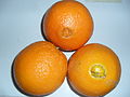 Três laranjas-da-baía