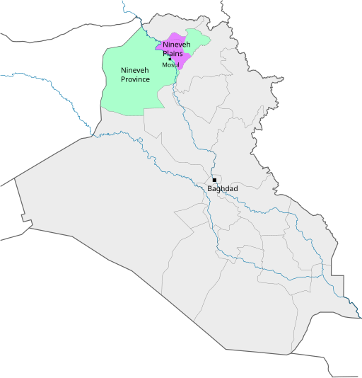 Nineveh Plains Iraq with text