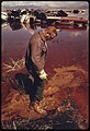 ONE OF THE WORKERS INVOLVED IN THE CLEANUP OF A FIVE ACRE POND FILLED WITH ACID WATER, OIL, ACID CLAY SLUDGE, DEAD... - NARA - 555857.jpg