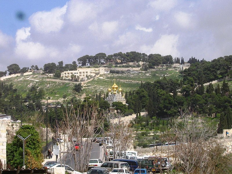 File:Olive Mount and Gethsemane Church, Jerusalem הר הזיתים וכנסית גת שמנא - panoramio.jpg