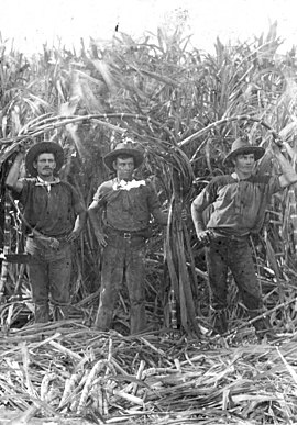 Olsen Brothers at Jarvisfield Ayr circa 1920.jpg