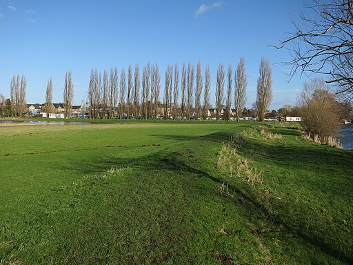 Ouse Valley Way towards Earith - geograph.org.uk - 4819714