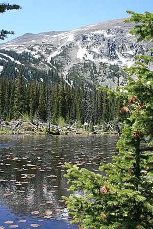 Ouzel Lake Dam