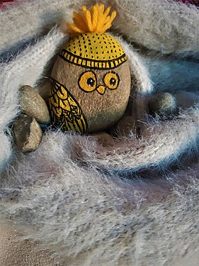 Owl painted on stone,DIY.