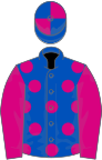 Королевский синий, вишневые пятна и рукава, кепка на четверти
