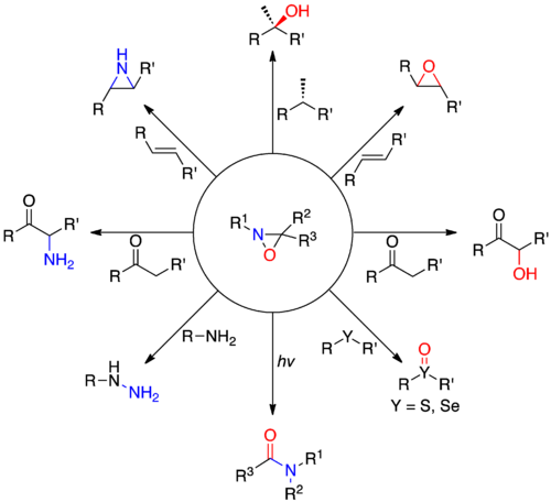 Oxaziridine reactions.png