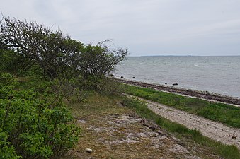 Reservatet sträcker sig ut i havet.