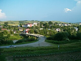 <span class="mw-page-title-main">Czaszyn</span> Village in Subcarpathian Voivodeship, Poland