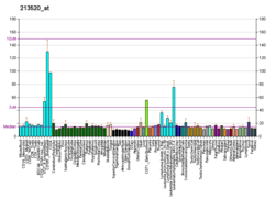 PBB GE RECQL4 213520 di fs.png