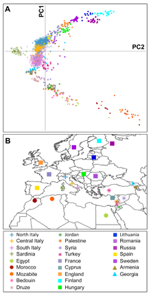 Principal component analysis of the Italian population with other populations PCA of Italians and European and Mediterranean populations.png