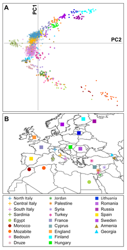 Plot of the principal components of the European and Mediterranean populations across Continental Europe, North Africa and the Middle East. PCA of Italians and European and Mediterranean populations.png