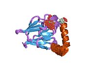 PDB 2aff EBI.jpg