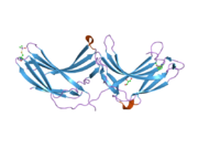 2fau: Crystal structure of human vps26