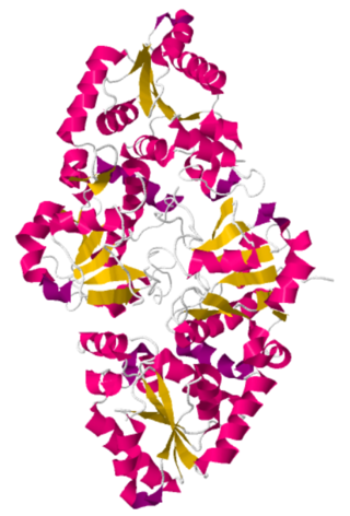 <span class="mw-page-title-main">GDP-fucose protein O-fucosyltransferase 1</span> Protein-coding gene in the species Homo sapiens