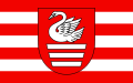 Flag of Biłgoraj, Poland