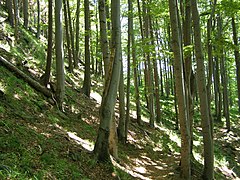 Skalka (prírodná rezervácia, okres Frýdek-Místek)