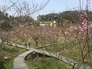 Peace Valley of Mount Dongwu in Huitang Town.