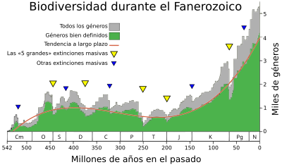 Phanerozoic Biodiversity-es.svg