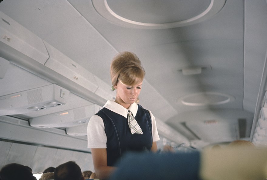 Flight Attendant Wiki Thereaderwiki