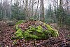 Cuenco de piedra del Bois de Chassagne.jpg