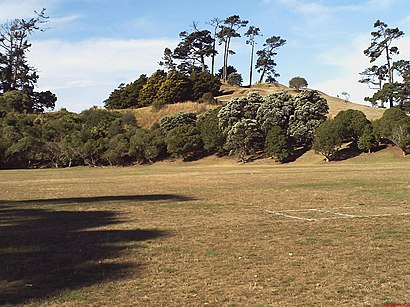 How to get to Ohuiarangi/Pigeon Mountain with public transport- About the place