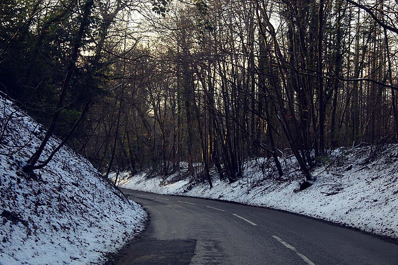 File:Pink Road through Keepershill Wood - geograph.org.uk - 3297283.jpg