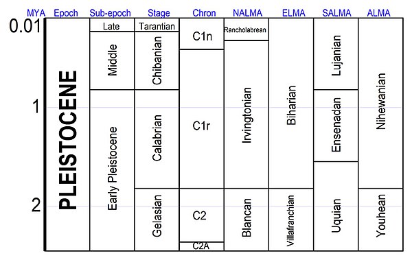 Various schemes for subdividing the Pleistocene