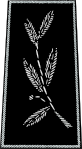 Commissaire, Commandant/Lieutenant-colonel, Polisintendent
