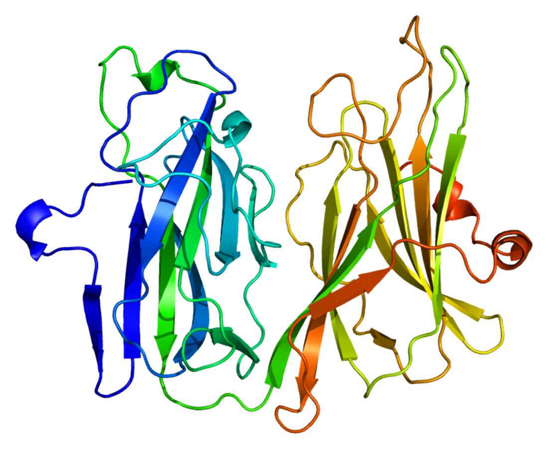 Enzyme d'alpha amidation