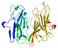 Thumbnail for Peptidylglycine alpha-amidating monooxygenase