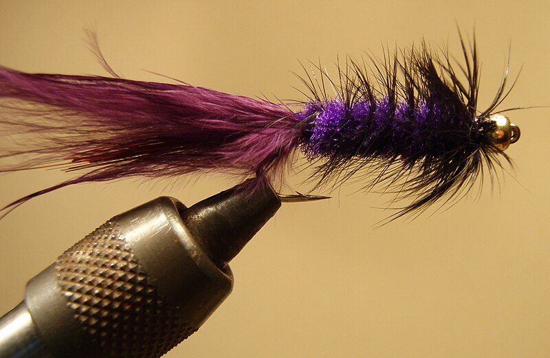 File:PurpleAndBlackBeadHeadWoollyBugger.jpg