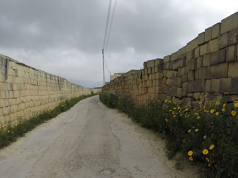 File:Qrendi, Malta - panoramio (229).jpg