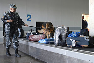 English: Baggage check in the airport of Rostov-on-Don Русский: Проверка багажа в аэропорту Ростова-на-Дону