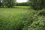 Vignette pour Réserve naturelle régionale du vallon de la Petite Becque