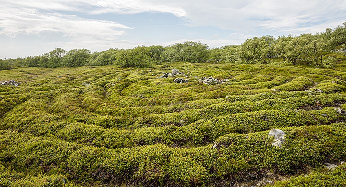 Stone labyrinth