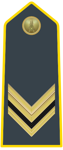 Rank insignia of vice brigadiere of the Guardia di Finanza.svg