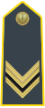 Rank insignia of vice brigadiere of the Guardia di Finanza.svg