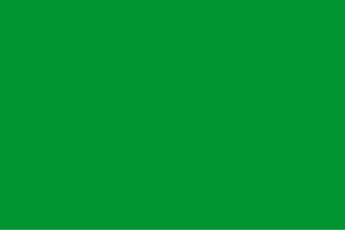 File:Rectangular green flag.svg