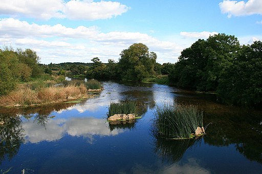 River Stour - geograph.org.uk - 2082284