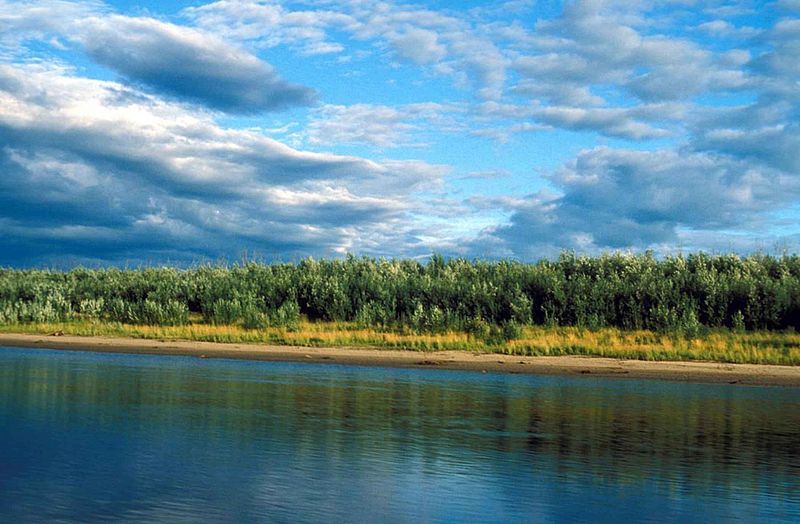 File:River in summer scenic.jpg