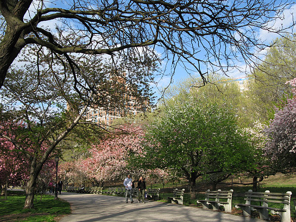 Trains travel through the Freedom Tunnel below this section of the park.