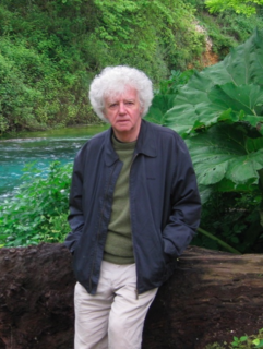 Robert Fraser (writer) British author and biographer